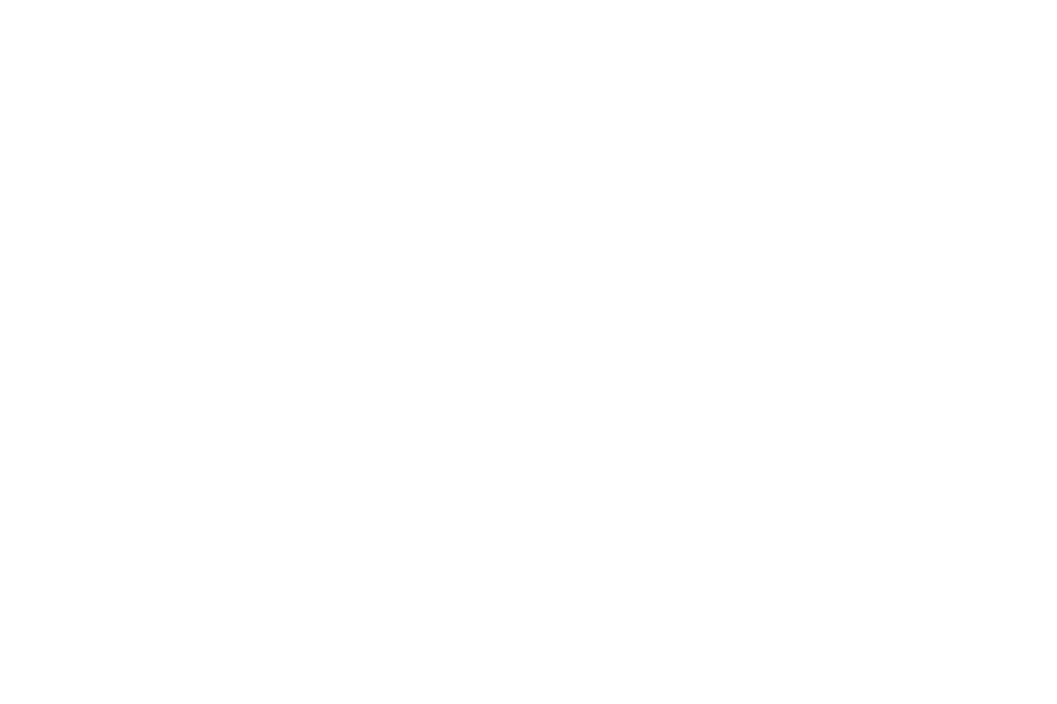 Dick's House of Sport