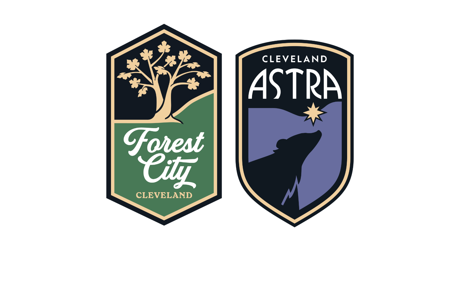 foundation foundation